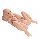 2015 New Full Silicone Real Sex Doll, Real Silicone Pussy Anus Love Doll For Man, Sexy Doll, Adult Sex Products 2015 New Full Silicone Real Sex Doll, Real Silicone Pussy Anus Love Doll For Man, Sexy Doll, Adult Sex Products